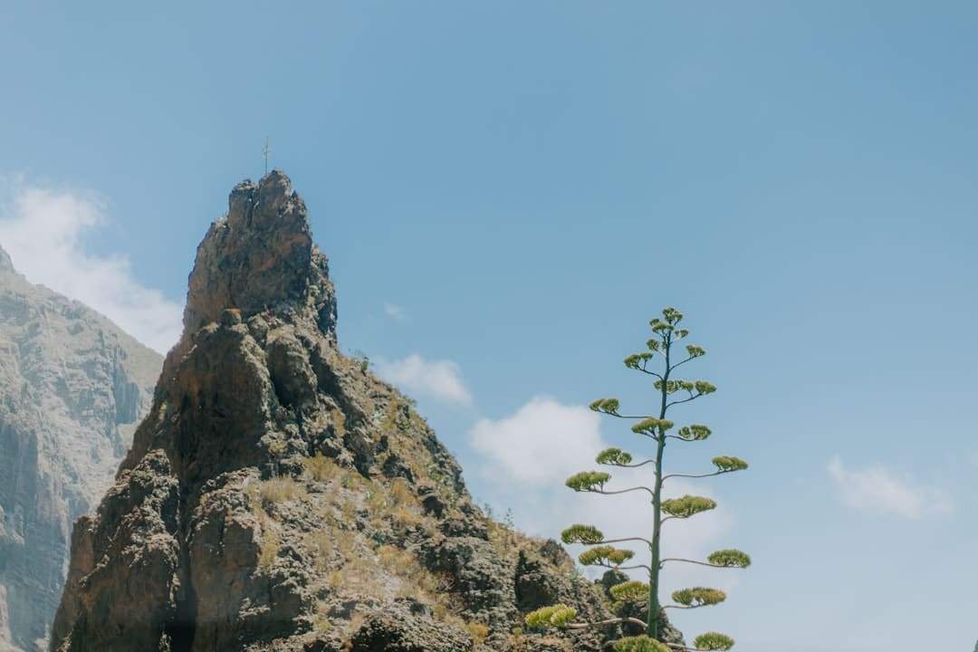 管乐综艺揭露居家日常 衣物山引发热议